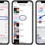 Cómo crear una lista de reproducción en Apple Music- 35