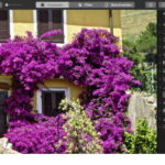 Edite imágenes con Fotos gratis en Mac- 8