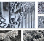 Toma y edita fotos de invierno a la perfección- 18
