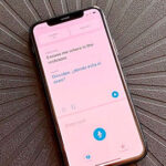 Cómo usar la aplicación Translate en iPhone- 9