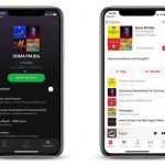 Cómo mover listas de reproducción de Apple Music a Spotify- 11